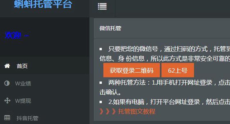 站群软件助力电商崛起：新时代流量增长新路径