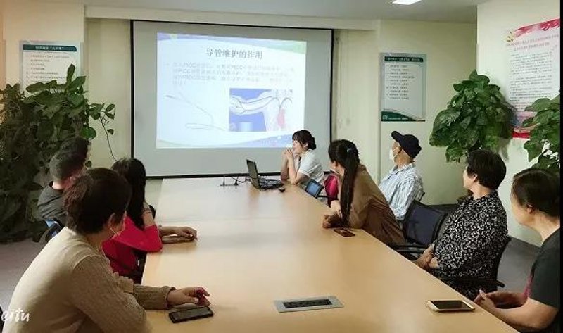 优化网站结构：站群建设的新趋势